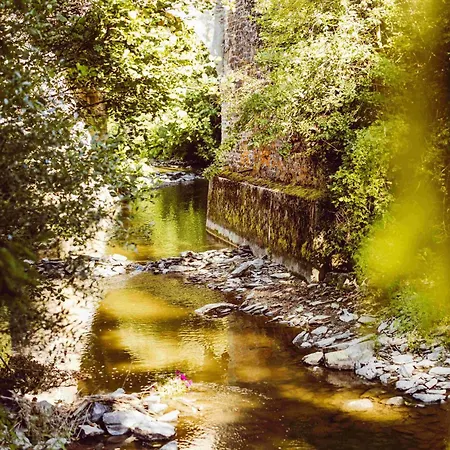 Houten Sasseltermillen Woltzdal