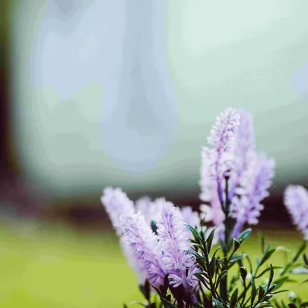 Houten Sasseltermillen Woltzdal *