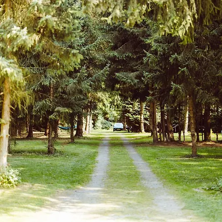 Houten Sasseltermillen Woltzdal