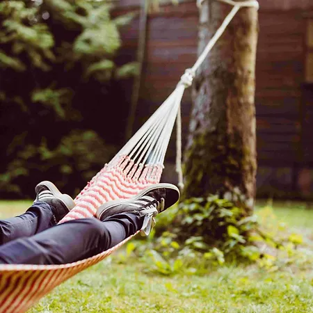 Houten Sasseltermillen Woltzdal Kemp *