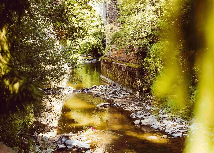 Houten Sasseltermillen Woltzdal