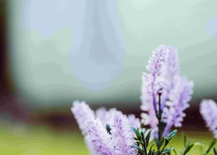 Houten Sasseltermillen Woltzdal *