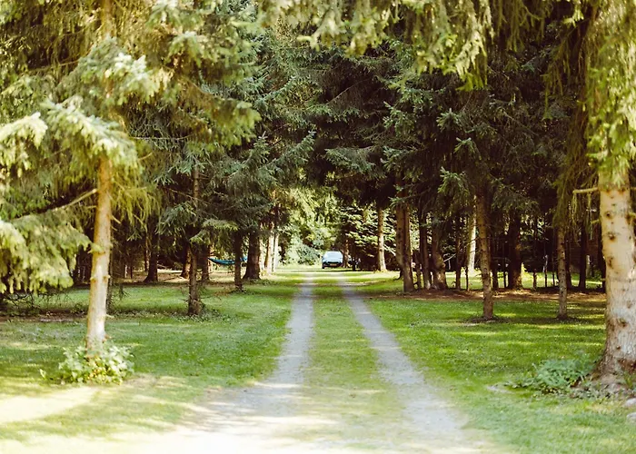 Houten Sasseltermillen Woltzdal
